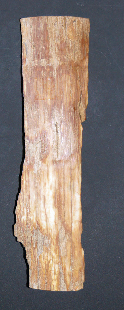 Griffschalenmaterial angeschliffen